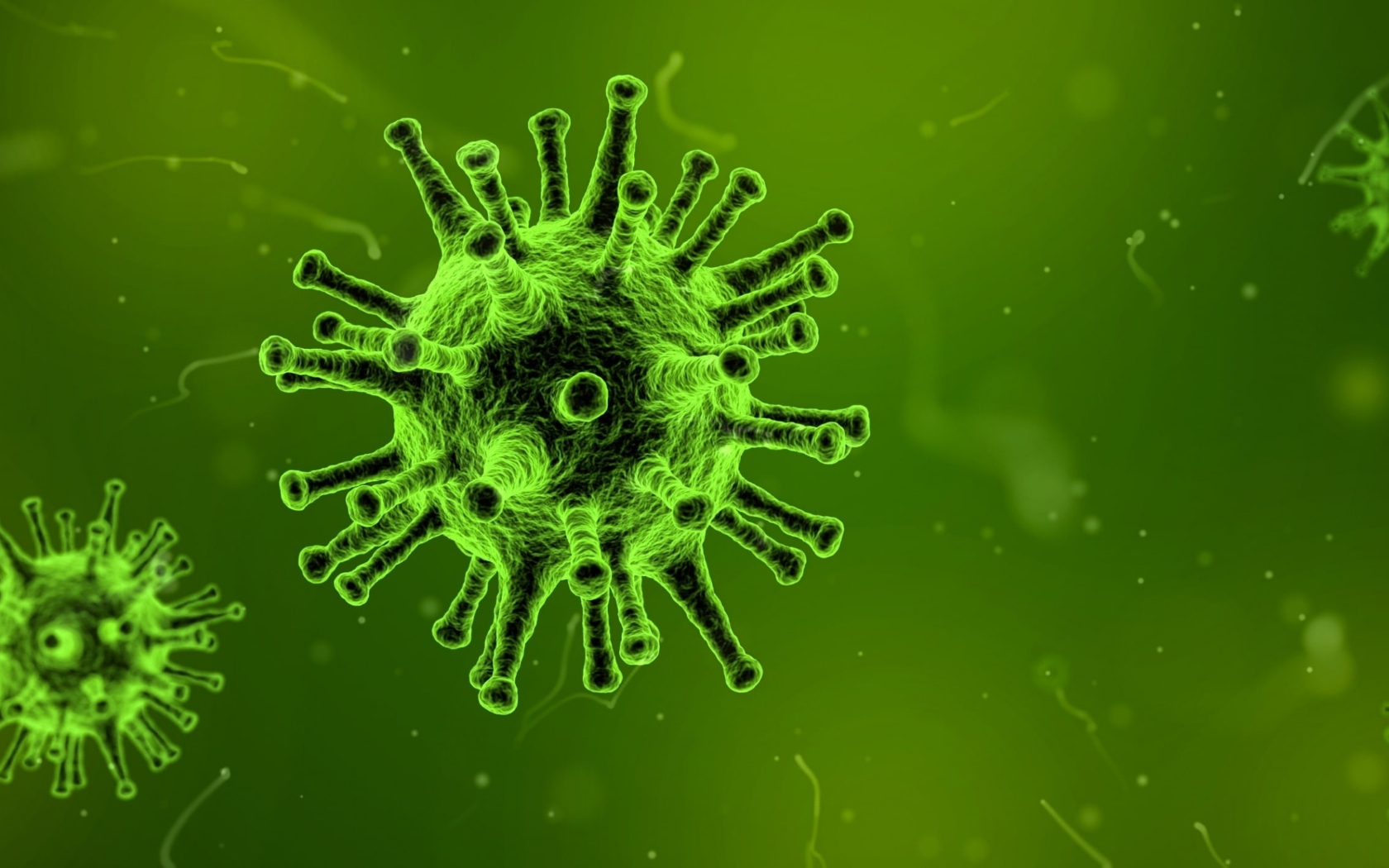 Virus - COVID - L'ignorance et l'égoïsme sont nos ennemis